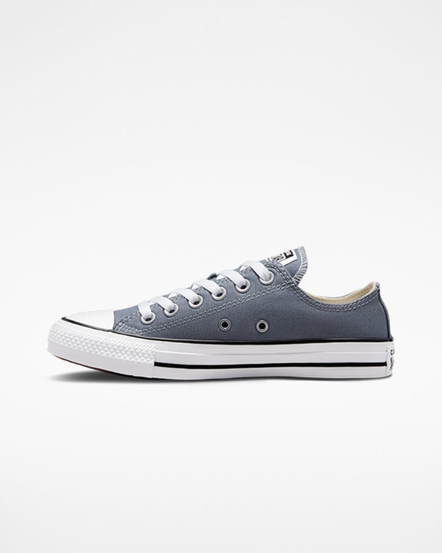 Women's Converse Chuck Taylor All Star Seasonal Color Low Top Shoes Grey | AU 09E16N